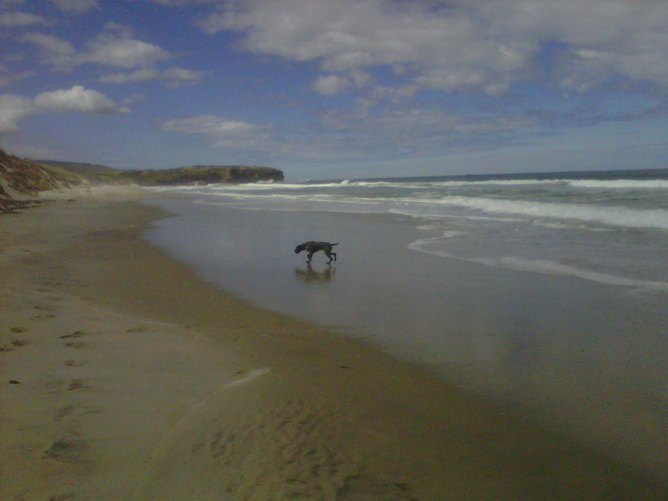 Name:  IMG00030-20111023-1330.jpg
Views: 243
Size:  102.3 KB