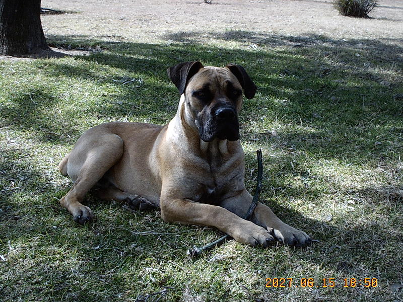 Name:  alert.JPG
Views: 364
Size:  185.9 KB