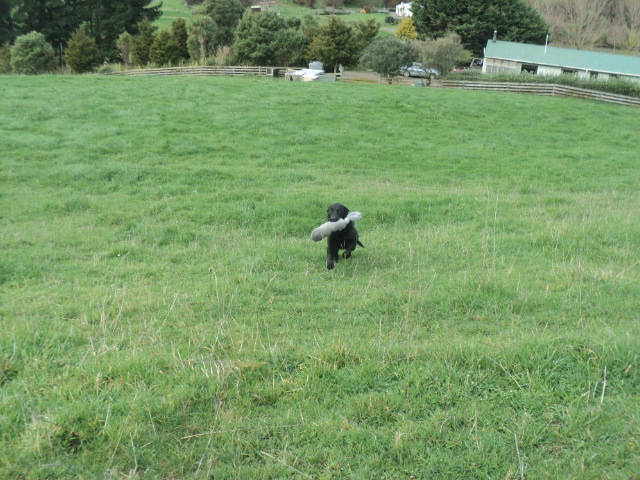 Name:  picture 01 946.jpg
Views: 1102
Size:  164.9 KB
