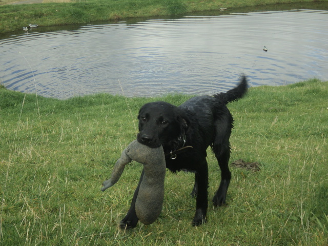 Name:  picture 01 977.jpg
Views: 374
Size:  163.8 KB