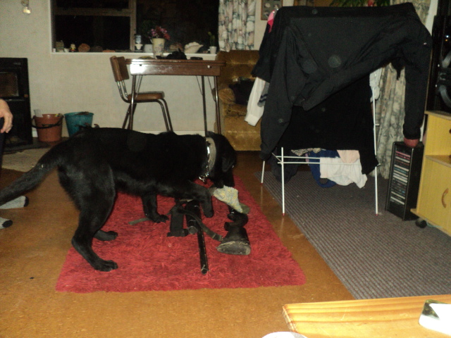 Name:  picture 01 1039.jpg
Views: 445
Size:  163.7 KB