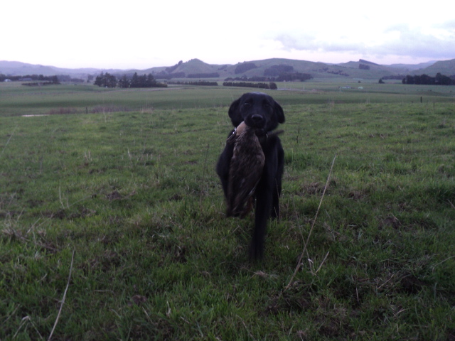 Name:  picture 01 1216.jpg
Views: 244
Size:  161.7 KB