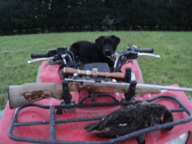 Name:  picture 01 1218.jpg
Views: 274
Size:  165.1 KB