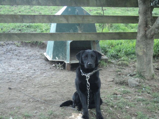 Name:  picture 01 1257.jpg
Views: 216
Size:  163.9 KB