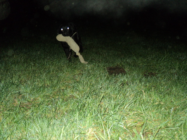 Name:  picture 01 1269.jpg
Views: 240
Size:  165.1 KB