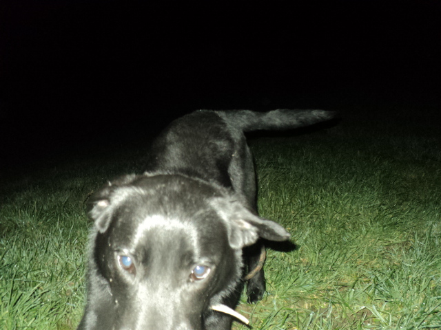 Name:  picture 01 1270.jpg
Views: 193
Size:  164.2 KB