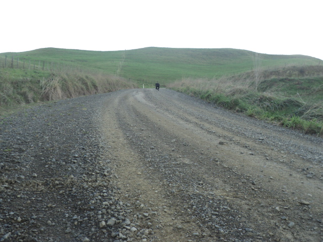 Name:  picture 01 1287.jpg
Views: 310
Size:  164.3 KB