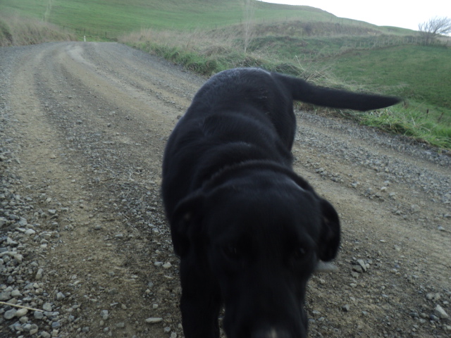 Name:  picture 01 1288.jpg
Views: 277
Size:  164.9 KB