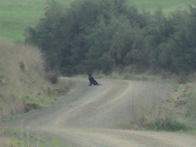 Name:  picture 01 1290.jpg
Views: 297
Size:  164.2 KB