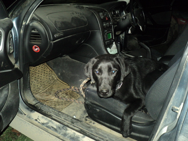 Name:  picture 01 1316.jpg
Views: 315
Size:  163.0 KB