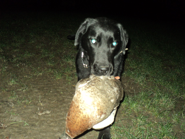Name:  picture 01 1348.jpg
Views: 251
Size:  162.4 KB