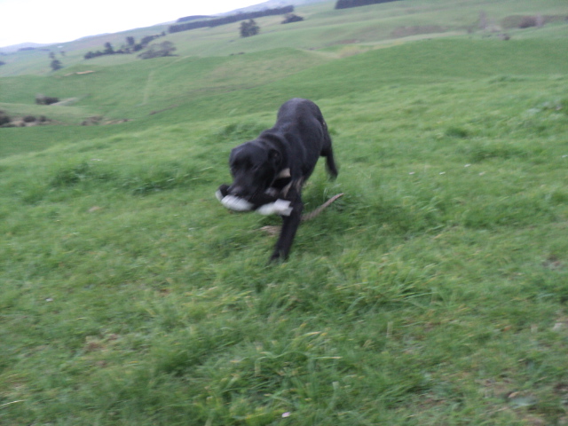 Name:  picture 01 1502.jpg
Views: 207
Size:  161.3 KB