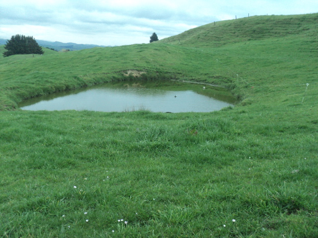 Name:  picture 01 1503.jpg
Views: 214
Size:  162.8 KB