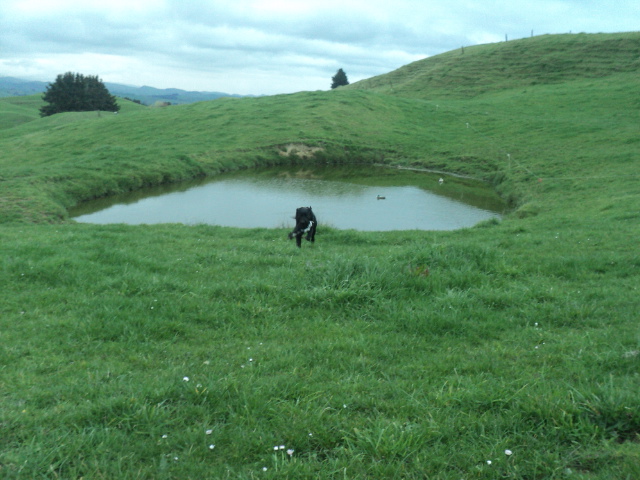 Name:  picture 01 1504.jpg
Views: 194
Size:  164.7 KB