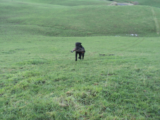 Name:  picture 01 1531.jpg
Views: 469
Size:  164.7 KB