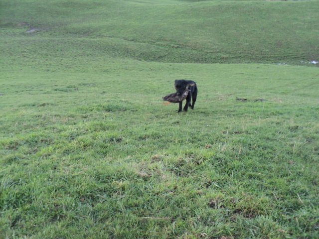 Name:  picture 01 1533.jpg
Views: 448
Size:  164.9 KB