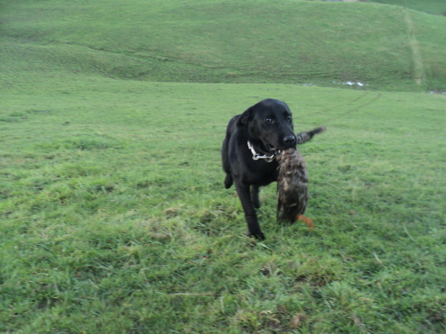 Name:  picture 01 1535.jpg
Views: 432
Size:  164.3 KB