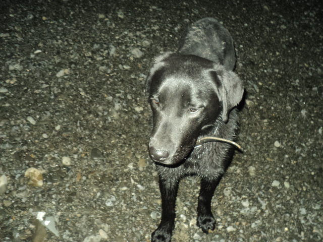 Name:  picture 01 1570.jpg
Views: 350
Size:  163.9 KB