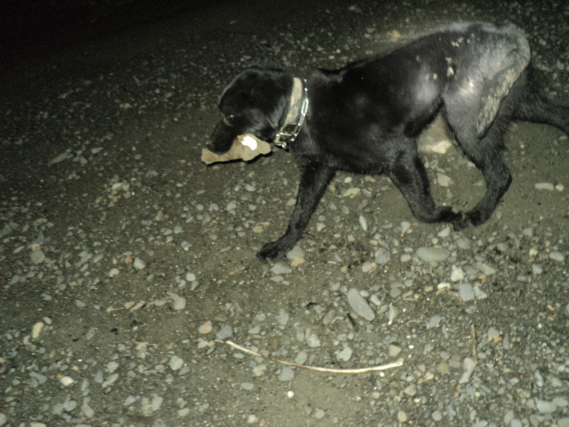 Name:  picture 01 1544.jpg
Views: 354
Size:  162.7 KB