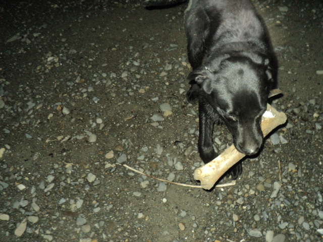 Name:  picture 01 1545.jpg
Views: 347
Size:  164.7 KB