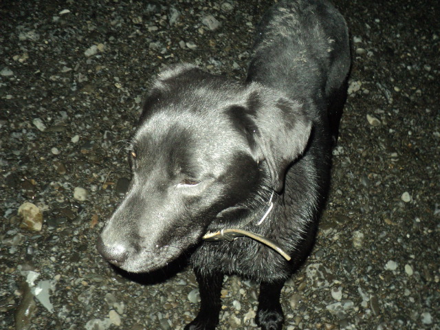 Name:  picture 01 1569.jpg
Views: 356
Size:  163.4 KB