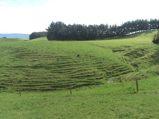 Name:  picture 01 1603.jpg
Views: 422
Size:  164.2 KB