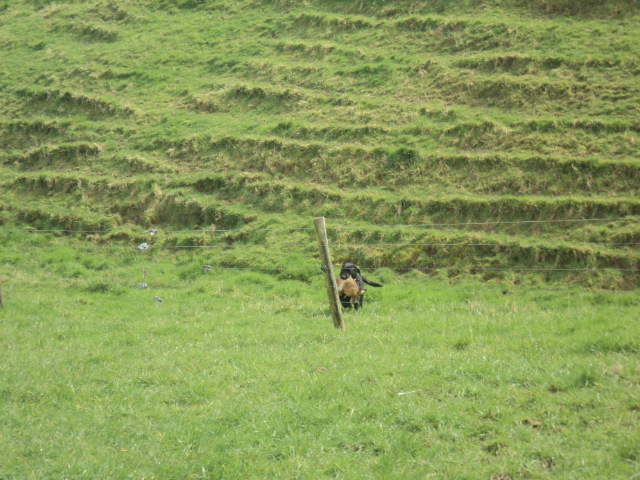 Name:  picture 01 1604.jpg
Views: 405
Size:  164.9 KB