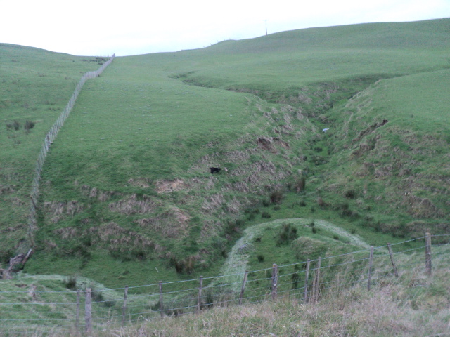Name:  picture 01 1608.jpg
Views: 415
Size:  164.5 KB
