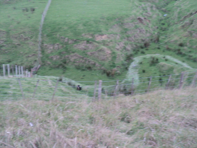 Name:  picture 01 1610.jpg
Views: 411
Size:  165.3 KB