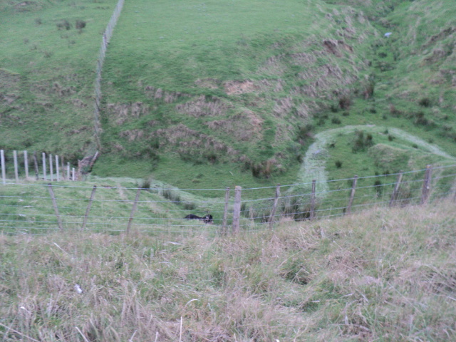 Name:  picture 01 1611.jpg
Views: 394
Size:  163.0 KB