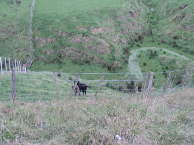 Name:  picture 01 1612.jpg
Views: 394
Size:  165.2 KB