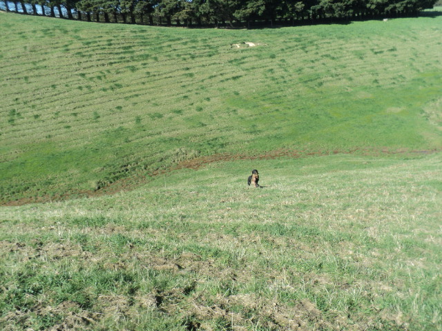 Name:  picture 01 1615.jpg
Views: 375
Size:  164.9 KB