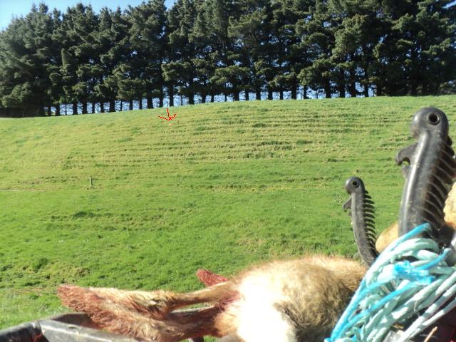 Name:  picture 01 1617.jpg
Views: 373
Size:  91.1 KB