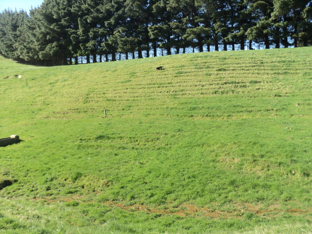 Name:  picture 01 1618.jpg
Views: 382
Size:  164.1 KB