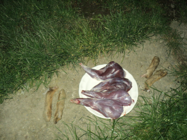 Name:  picture 01 1626.jpg
Views: 371
Size:  164.5 KB