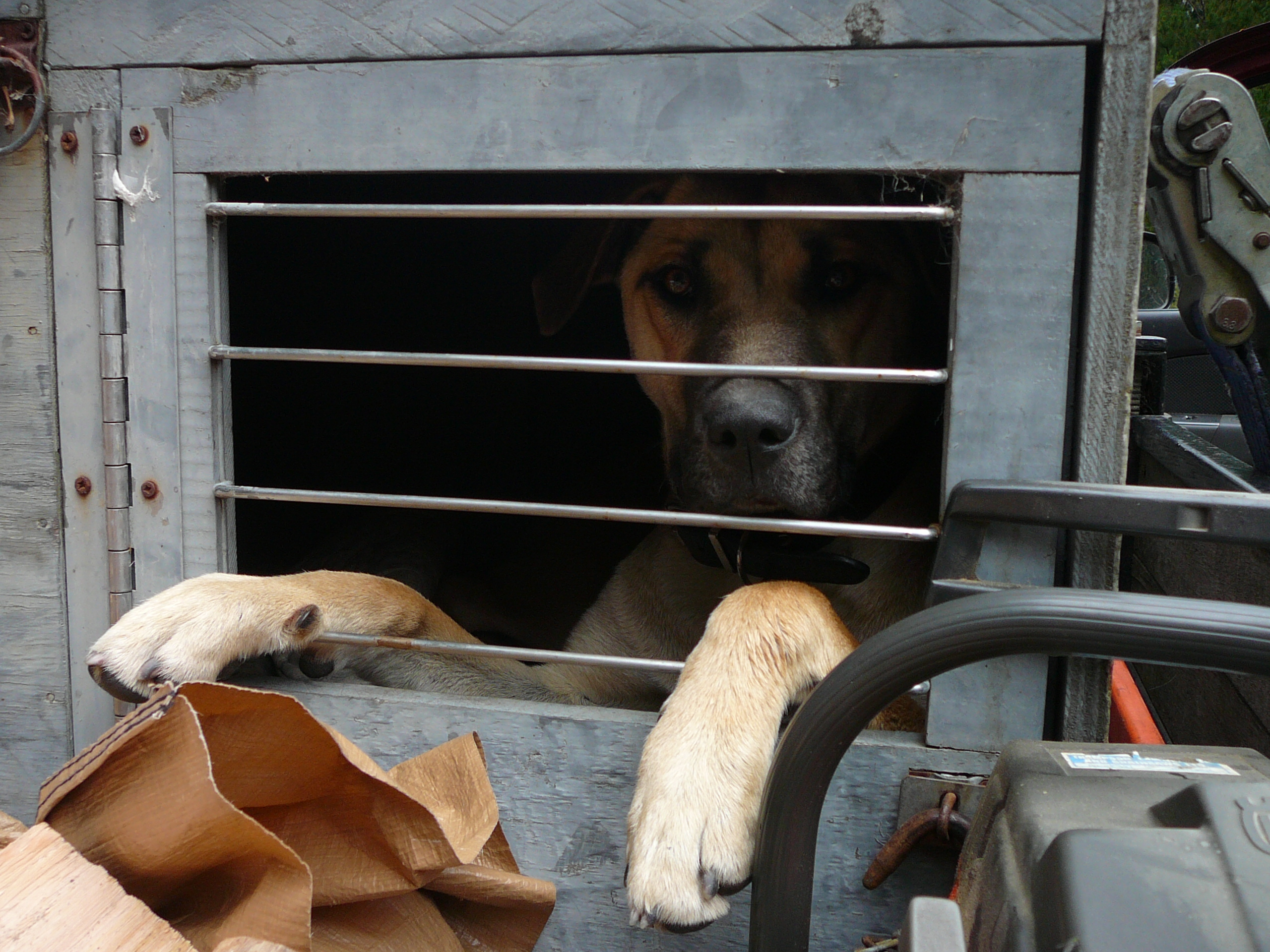 Name:  In jail .jpg
Views: 608
Size:  1.61 MB