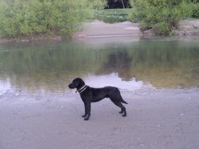 Name:  picture 01 1892.jpg
Views: 342
Size:  163.7 KB