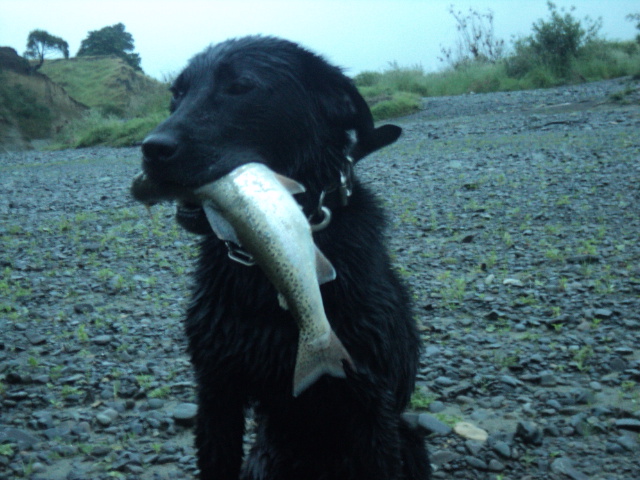 Name:  picture 01 2189.jpg
Views: 313
Size:  164.8 KB