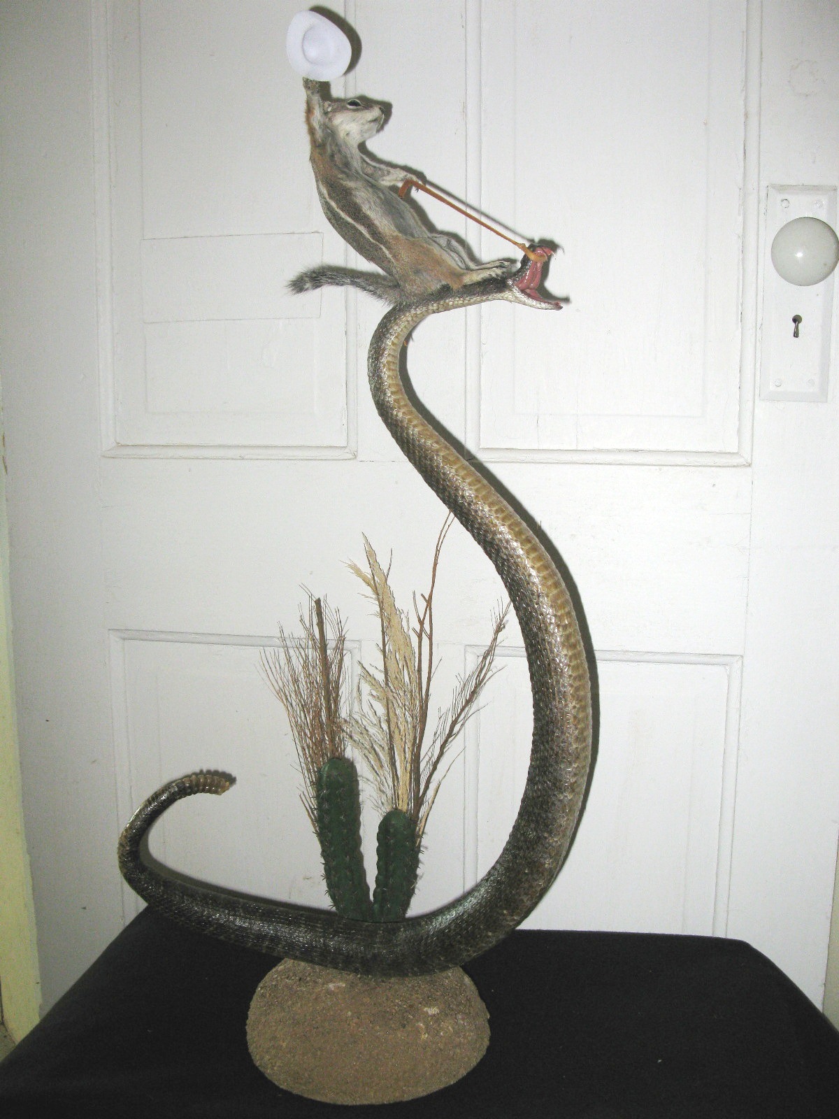Name:  squirrel-riding-snake-taxidermy.jpg
Views: 923
Size:  438.1 KB
