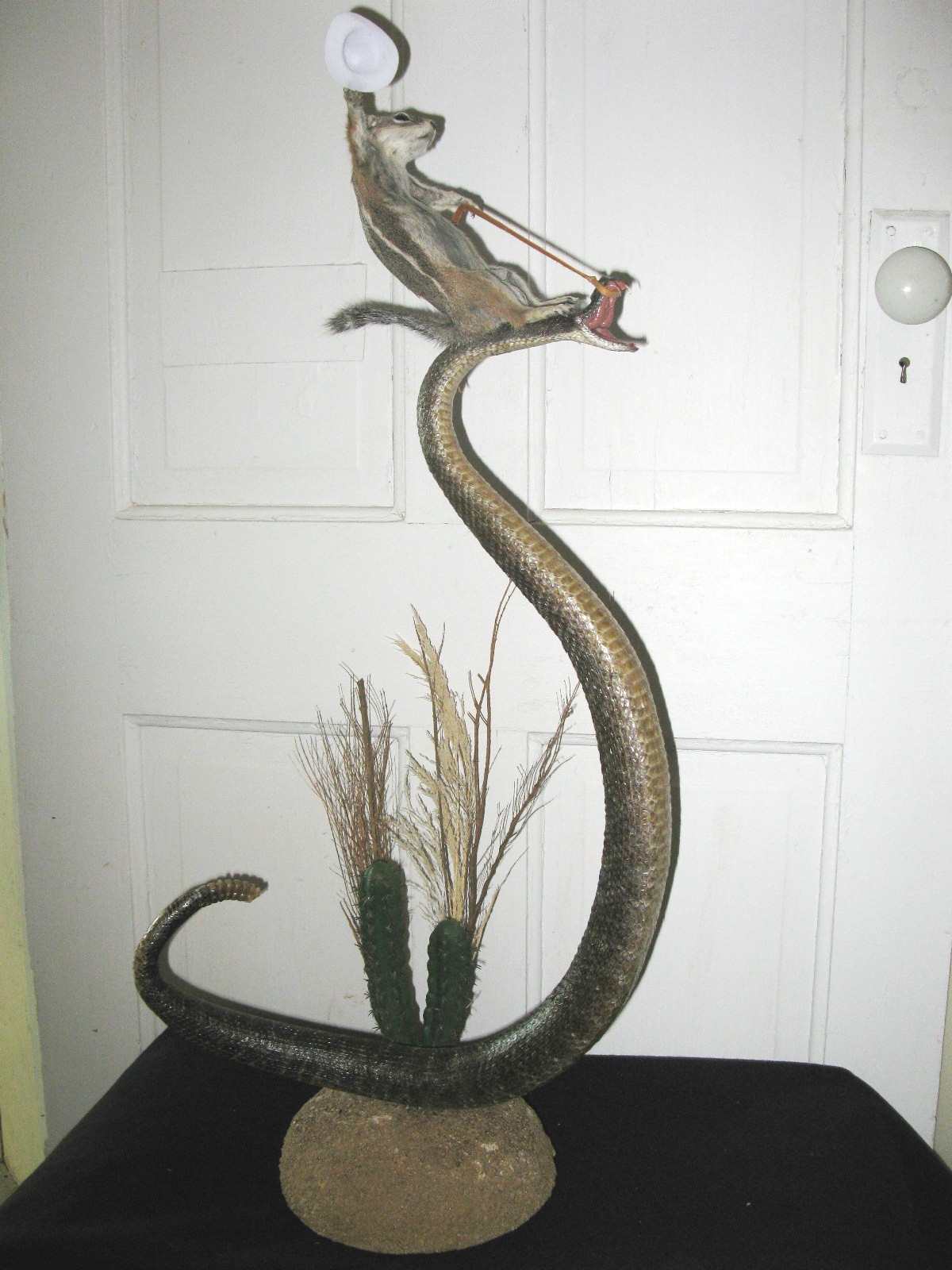 Name:  squirrel-riding-snake-taxidermy.jpg
Views: 664
Size:  438.1 KB