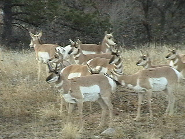 Name:  IMGA0188.JPG
Views: 310
Size:  71.7 KB