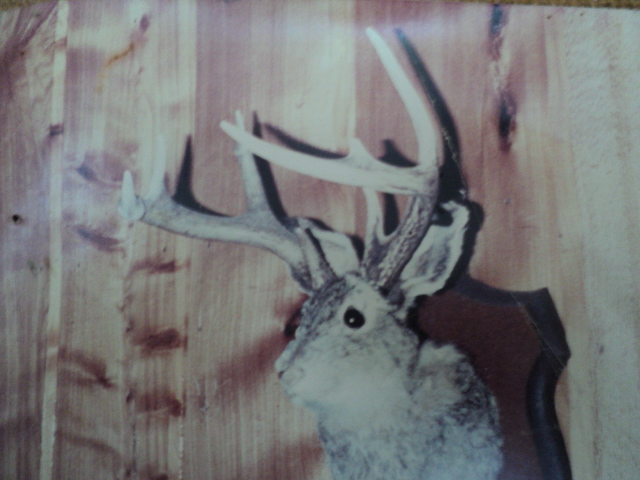 Name:  picture 01 3757.jpg
Views: 259
Size:  164.6 KB