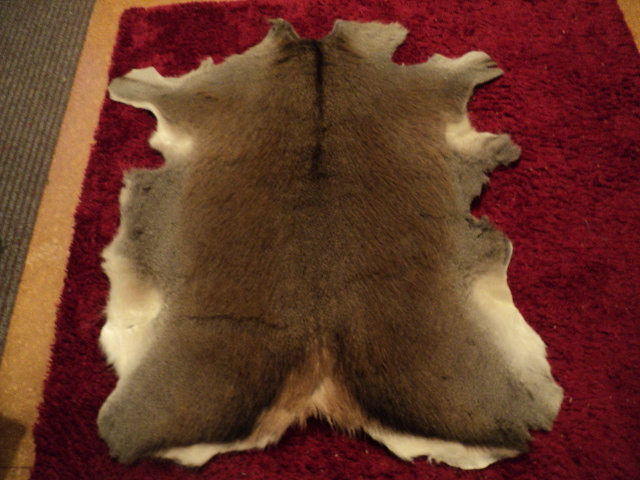 Name:  picture 01 4177.jpg
Views: 540
Size:  165.0 KB