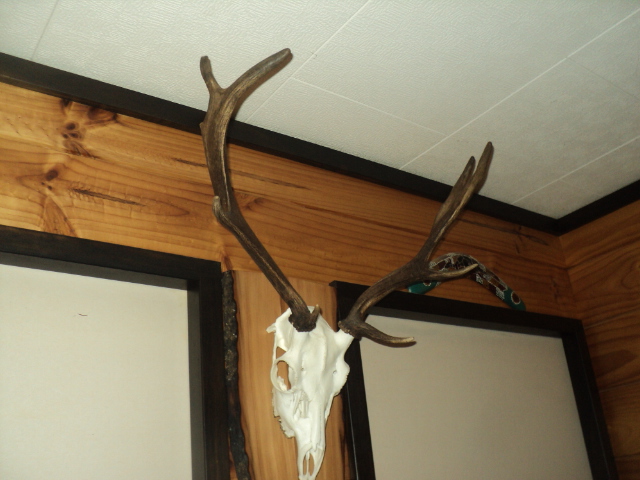 Name:  picture 01 3433.jpg
Views: 343
Size:  163.1 KB