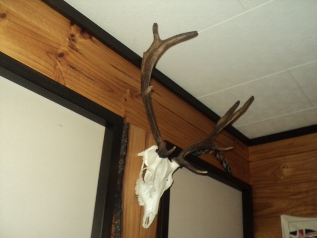 Name:  picture 01 3435.jpg
Views: 346
Size:  164.1 KB