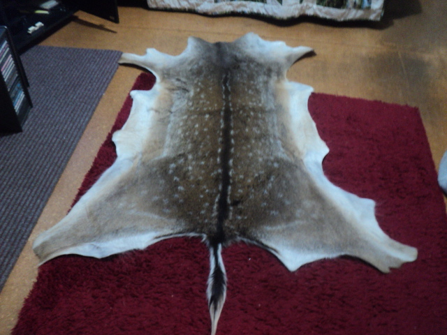 Name:  picture 01 3591.jpg
Views: 252
Size:  164.2 KB