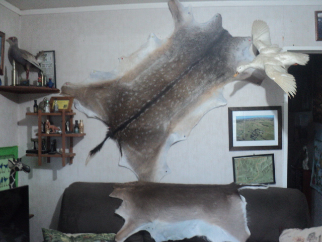 Name:  picture 01 3597.jpg
Views: 231
Size:  164.9 KB