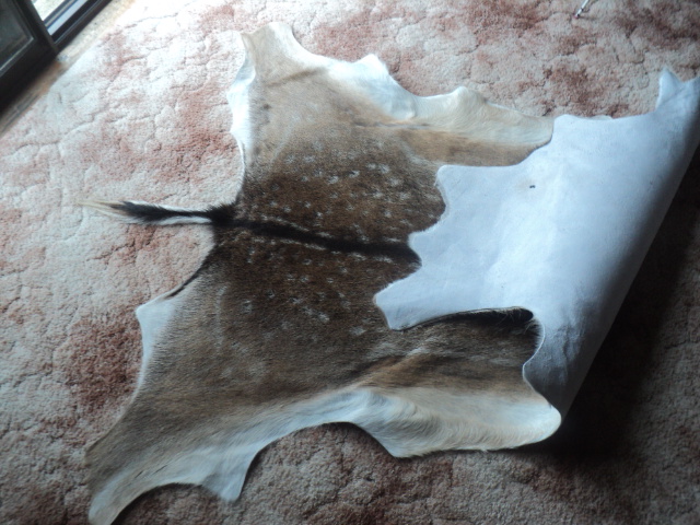 Name:  picture 01 3596.jpg
Views: 212
Size:  163.9 KB