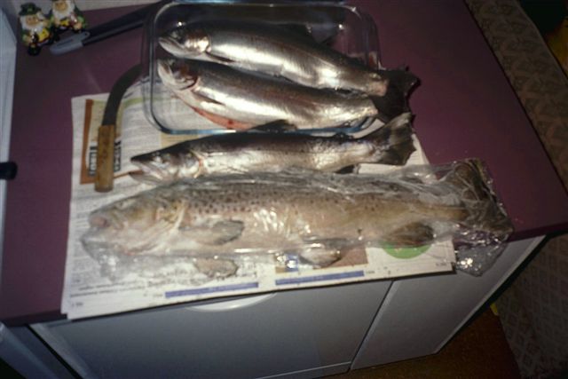 Name:  014_11.jpg
Views: 439
Size:  37.2 KB