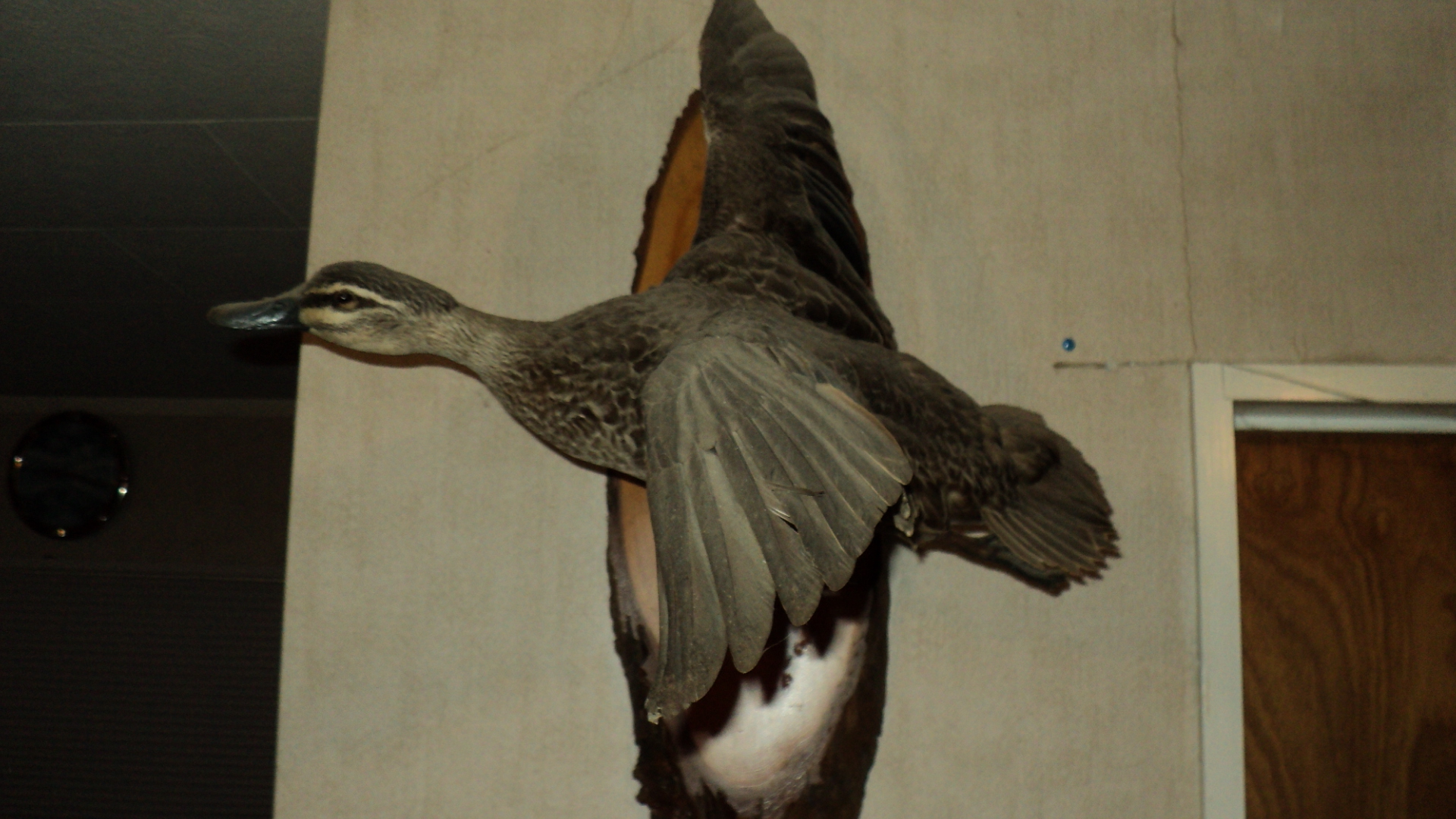 Name:  Picture 108.jpg
Views: 1425
Size:  934.6 KB